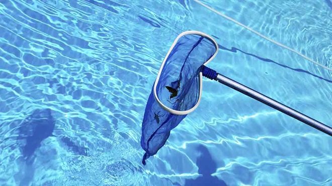 pool cleaning net scoops up leaves